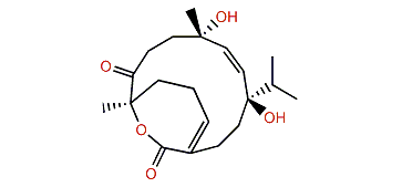 Sarelengan D